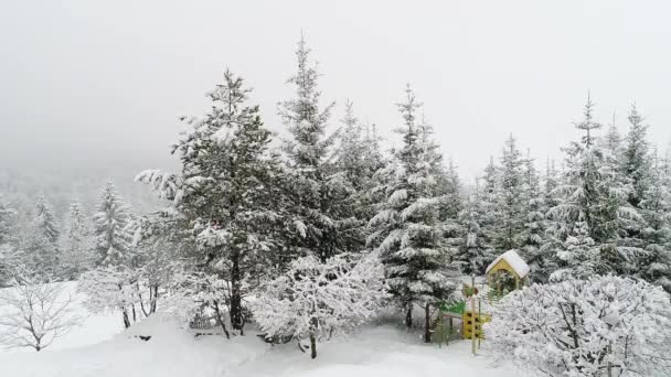 Zimowy Karpacki Krajobraz Choinki Śniegu — Wideo stockowe