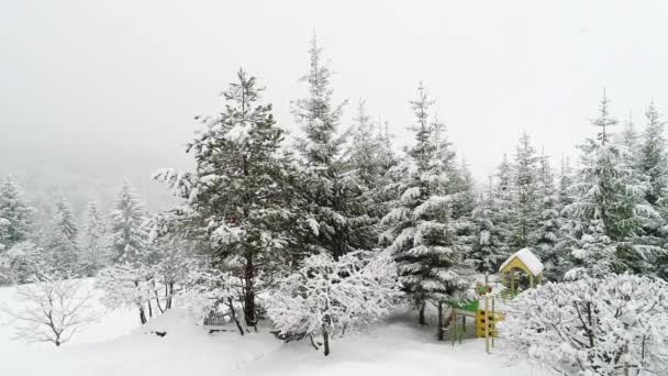 Winter Carpathian Landscape Christmas Trees Snow — Stock Video