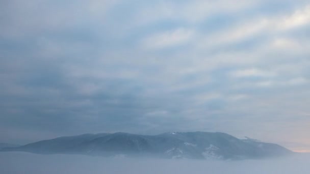 Vinterkarpatiska Berg Vackert Landskap Med Fågelperspektiv Uhd — Stockvideo