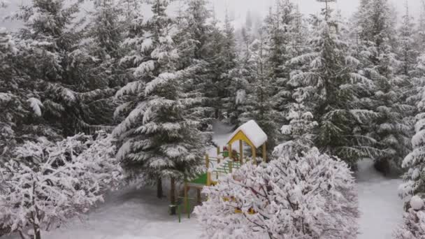 冬のカルパチアの風景 雪の中のクリスマスツリー — ストック動画