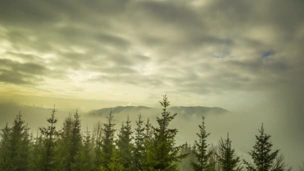 Zima Karpatských Horách Krásná Krajina Při Západu Slunce Ptačím Pohledem — Stock video