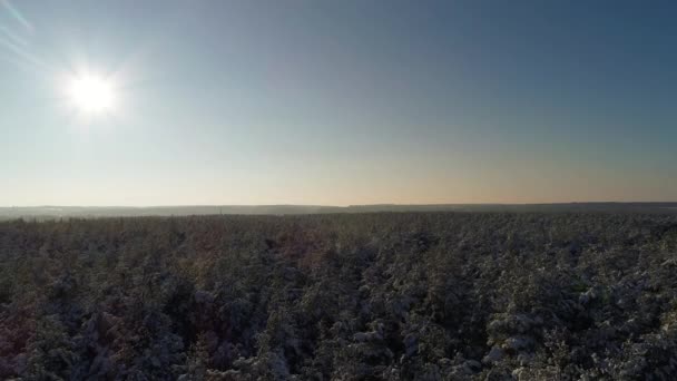 Zdjęcie Lotnicze Zasobów Naturalnych Piasek Ukraina Latanie Nad Piaskiem Drewnem — Wideo stockowe