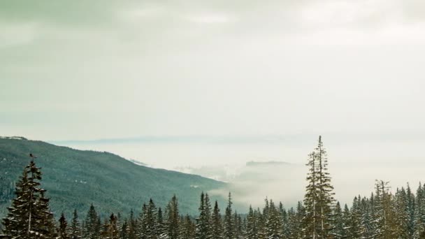 Piękno Chmury Natura Badania Uhd Timelapse Sfotografowany Aparacie Nikon D800 — Wideo stockowe