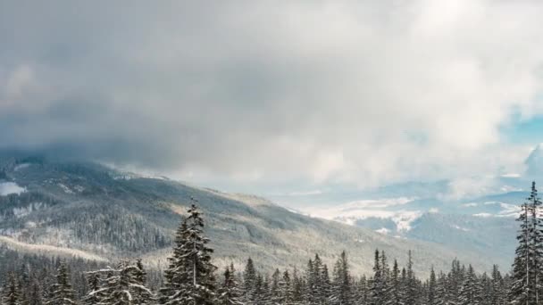 Belle Journée Ensoleillée Montagne Sapin Sous Ciel — Video