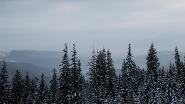 Зимнее Время Карпатах Timelapse Сфотографировано Камеру Nikon D800 — стоковое видео