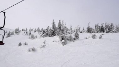 Kışlık odunların üzerinden uçmak, Carpatian dağlarında HD görüntüler, Nikon D800 kamerasında çekilmek..