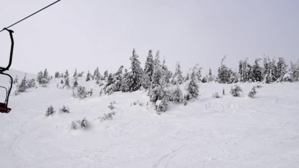 Fliegen Über Winterliches Holz Himmellift Aufnahmen Karpatischen Bergen Fotografiert Mit — Stockvideo