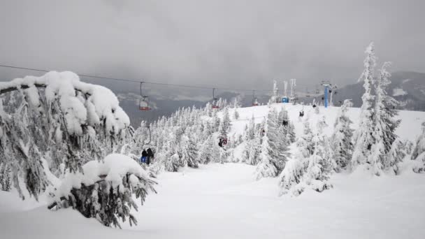 Letět Přes Zimní Dřevo Lanovce Záběry Karpatských Horách Vyfoceno Kameře — Stock video