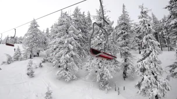 在雾蒙蒙的山上滑雪车上 — 图库视频影像