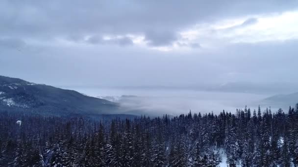 美丽的山天 飞越多云的冬季大地 — 图库视频影像