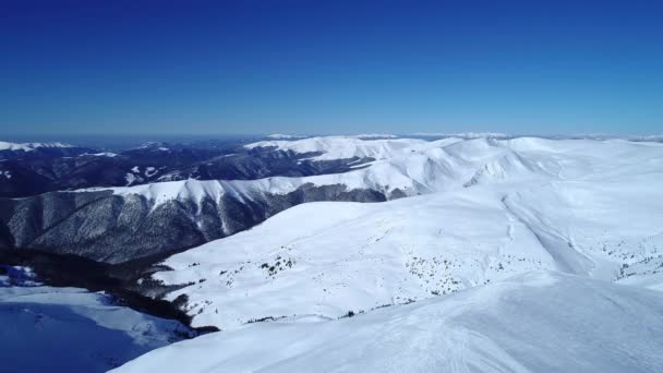 Invierno Carpatians Naturaleza Vista Aérea Tiempo Real Uhd — Vídeo de stock