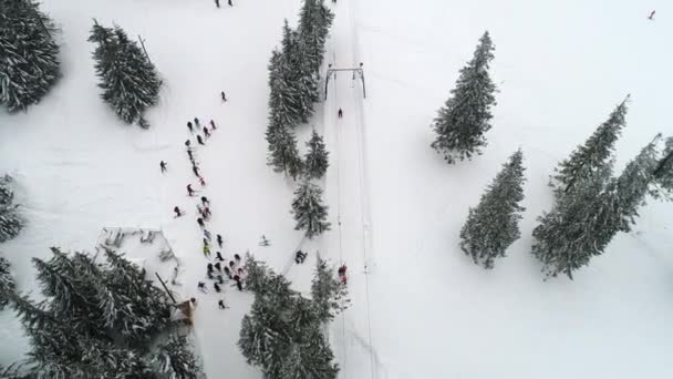 Winterland Sobrevoe Abeto Tempestade Neve Frio Carpatiano — Vídeo de Stock