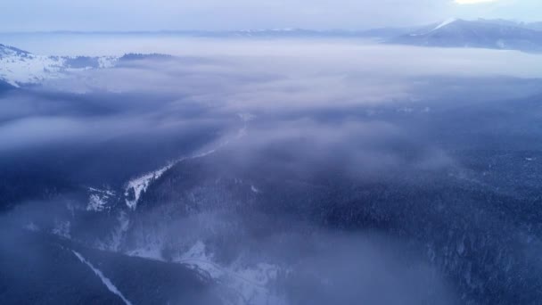Winter Carpatians Nature Aerial View Realtime Uhd — Stock Video