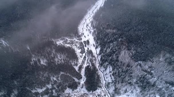 Winterland Fliegen Über Tanne Schneesturm Kalte Karpatische — Stockvideo