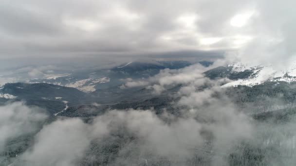 Invierno Carpatians Naturaleza Vista Aérea Tiempo Real Uhd — Vídeos de Stock