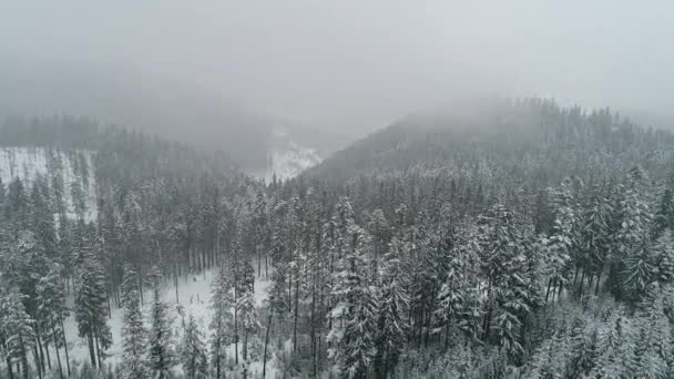 Winterkarpaten Natur Luftbild Echtzeit Uhd — Stockvideo