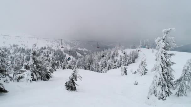 Skifahrer Winterwald Sky Lift Drohnenvideo Den Karpatischen Bergen — Stockvideo