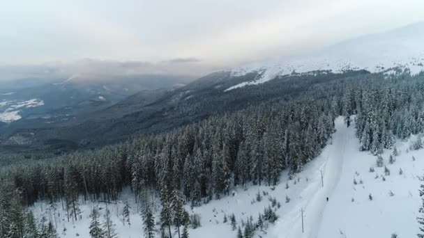 Kış Diyarı Kar Fırtınasında Köknar Ağacının Üzerinden Soğuk Karpatyalı — Stok video