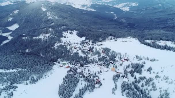 Winterlande Přeleť Nad Jedlí Sněhové Bouři Zima Karpatská — Stock video