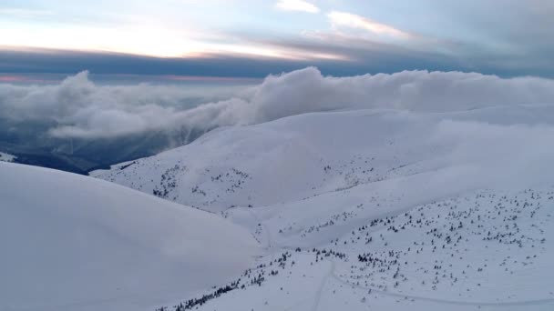 Zima Carpatians Natura Widok Powietrza Czasie Rzeczywistym Uhd — Wideo stockowe