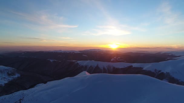 Zima Carpatians Natura Widok Powietrza Czasie Rzeczywistym Uhd — Wideo stockowe
