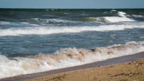 Θαλασσινό Κύμα Στην Άμμο Της Τροπικής Παραλίας Close — Αρχείο Βίντεο