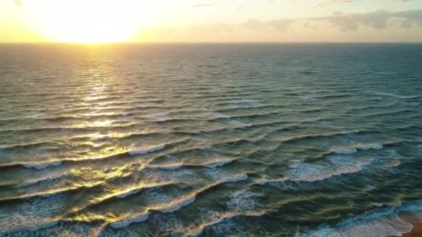 Courant Mer Nage Contre Les Vagues Sur Belle Mer — Video