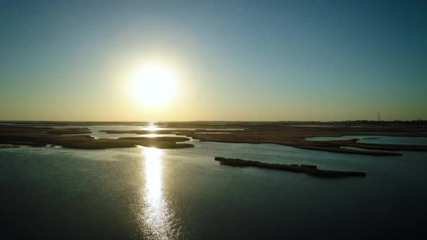 Ongebruikelijke Eilanden Aan Het Meer Van Sivash Bovenaanzicht Drone Camera — Stockvideo