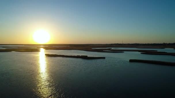 Îles Inhabituelles Sur Lac Sivash Vue Dessus Caméra Drone — Video