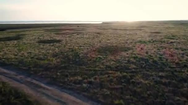 Schneller Flug Über Die Steppe — Stockvideo