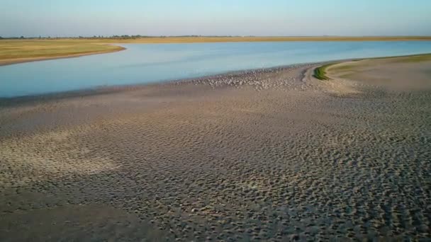 Pássaros Voam Lago Lama Sivash Para Belo Lago Sivash — Vídeo de Stock