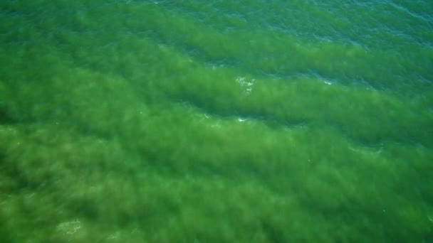 Aerial View Waves Sand Beach Sea Waves Beautiful Beach Aerial — Stock Video