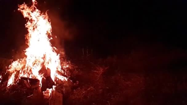 Burning Fire Night Campfire Bonfire Native 960 Fps 32X Slow — Stock Video