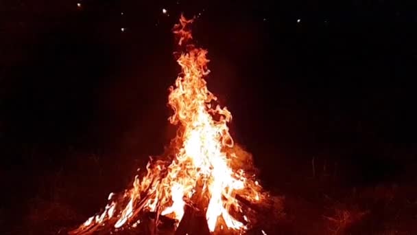 夜の火災 キャンプファイヤーのたき火 ネイティブ960 Fpsの 32倍 スローモーション 720ビデオ — ストック動画