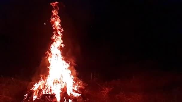 Fuego Ardiente Noche Fogata Hoguera Nativo 960 Fps 32X Cámara — Vídeos de Stock