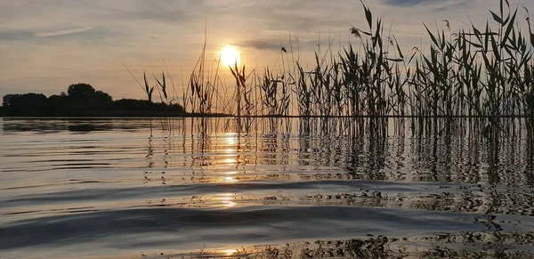 Calmante paisaje pintoresco de un lago de verano — Foto de Stock