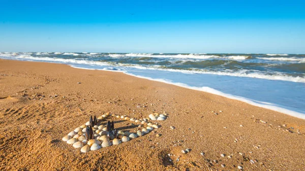Figura de cóctel dispuestos fuera de conchas se encuentra en la playa — Foto de Stock