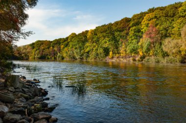 Büyüleyici bir göl manzarası