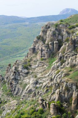 Orman ve çalılarla kaplı dağ sıraları
