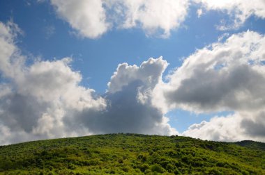 Orman ve çalılarla kaplı dağ sıraları