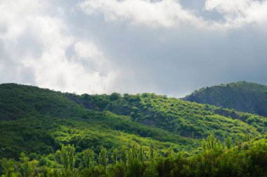 Orman ve çalılarla kaplı dağ sıraları