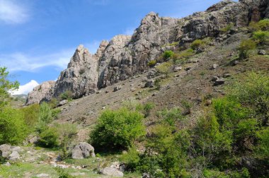 Orman ve çalılarla kaplı dağ sıraları