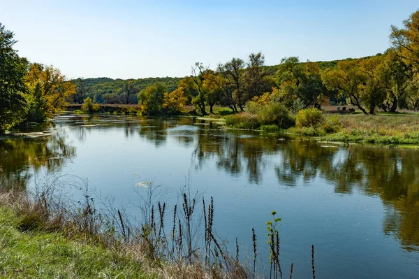 Мальовничий краєвид спокійної чистої річки — стокове фото