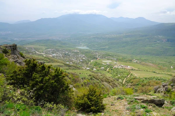 Los árboles crecen en la cima de la montaña rocosa — Foto de Stock