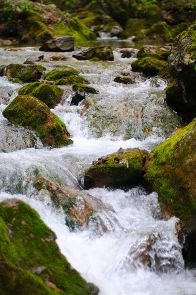 Kamienie leżą w wodzie w górskim strumieniu — Zdjęcie stockowe