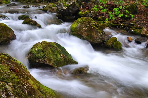 Steine liegen im Wasser im Gebirgsbach — Stockfoto