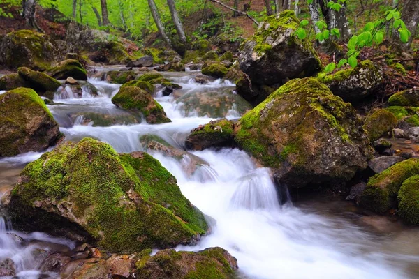 Las piedras yacen en el agua en el arroyo de montaña —  Fotos de Stock