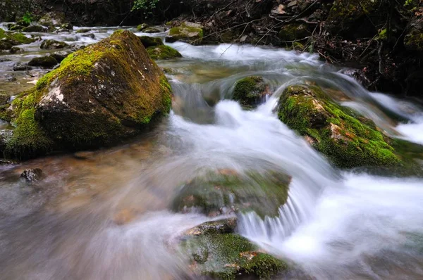 Steine liegen im Wasser im Gebirgsbach — Stockfoto