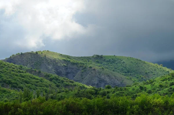 Chaînes de montagnes couvertes de forêts et de buissons — Photo