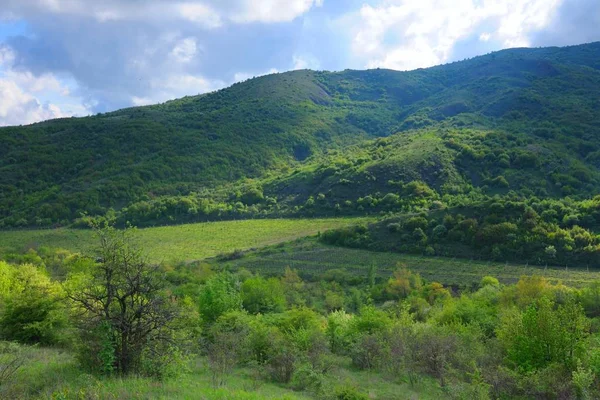 Floresta cumes de montanha, série de paisagens, Crimeia, Ucrânia . — Fotografia de Stock